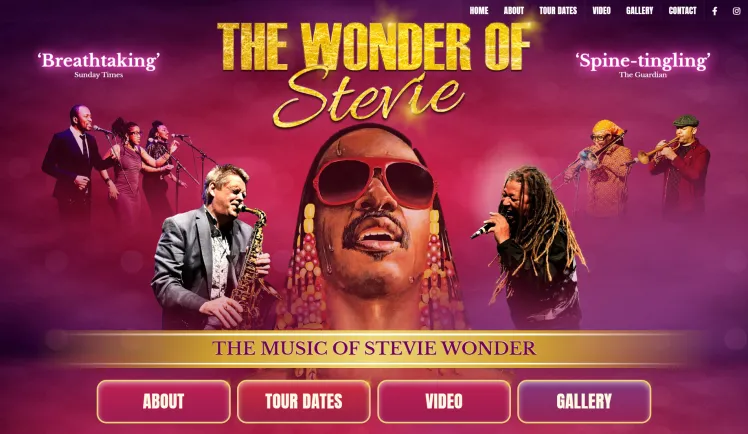 The Wonder of Stevie